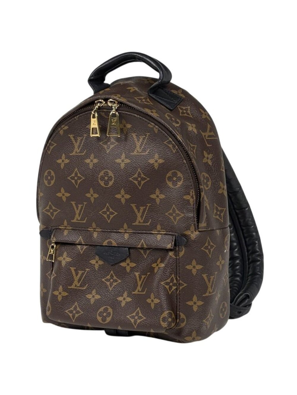Louis Vuitton Palm Springs Backpack PM Monogram Brown